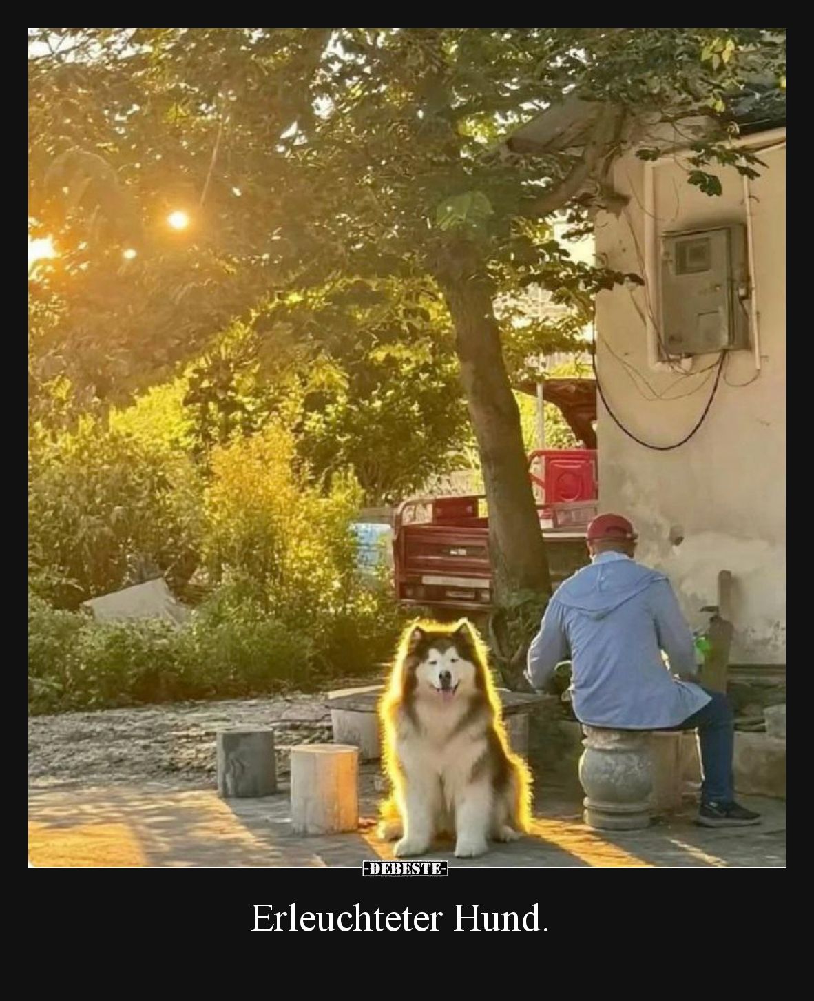Erleuchteter Hund... - Lustige Bilder | DEBESTE.de