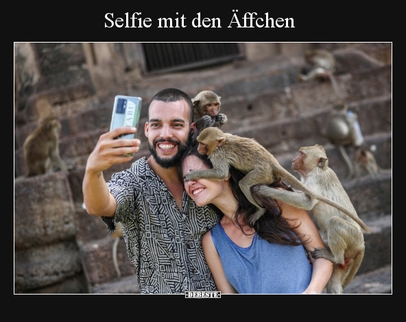 Selfie mit den Äffchen.. - Lustige Bilder | DEBESTE.de