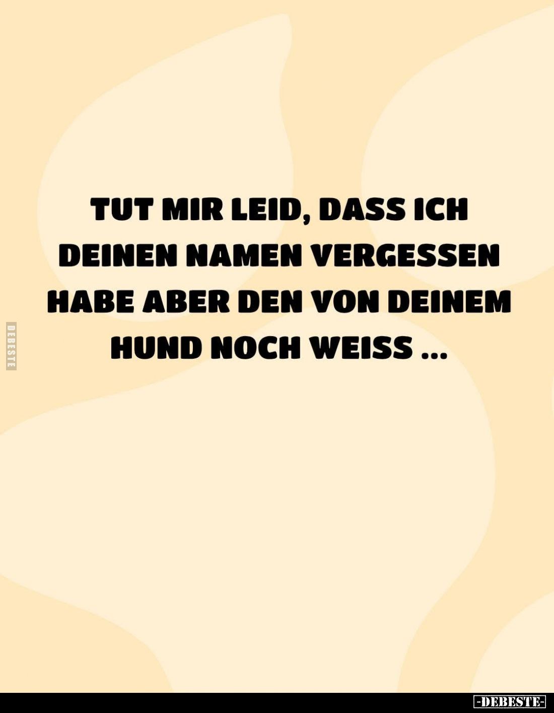 Tut mir leid, dass ich deinen Namen vergessen habe aber den von deinem Hund noch weiss ...