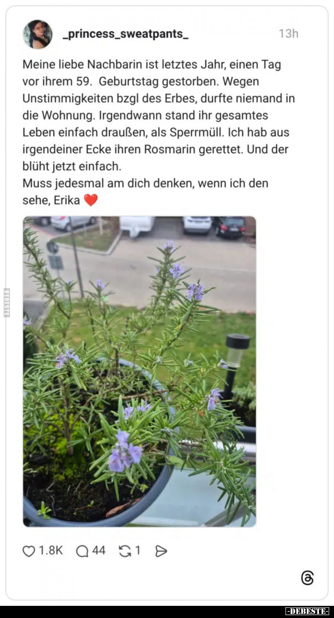 Meine liebe Nachbarin ist letztes Jahr, einen Tag vor ihrem.. - Lustige Bilder | DEBESTE.de