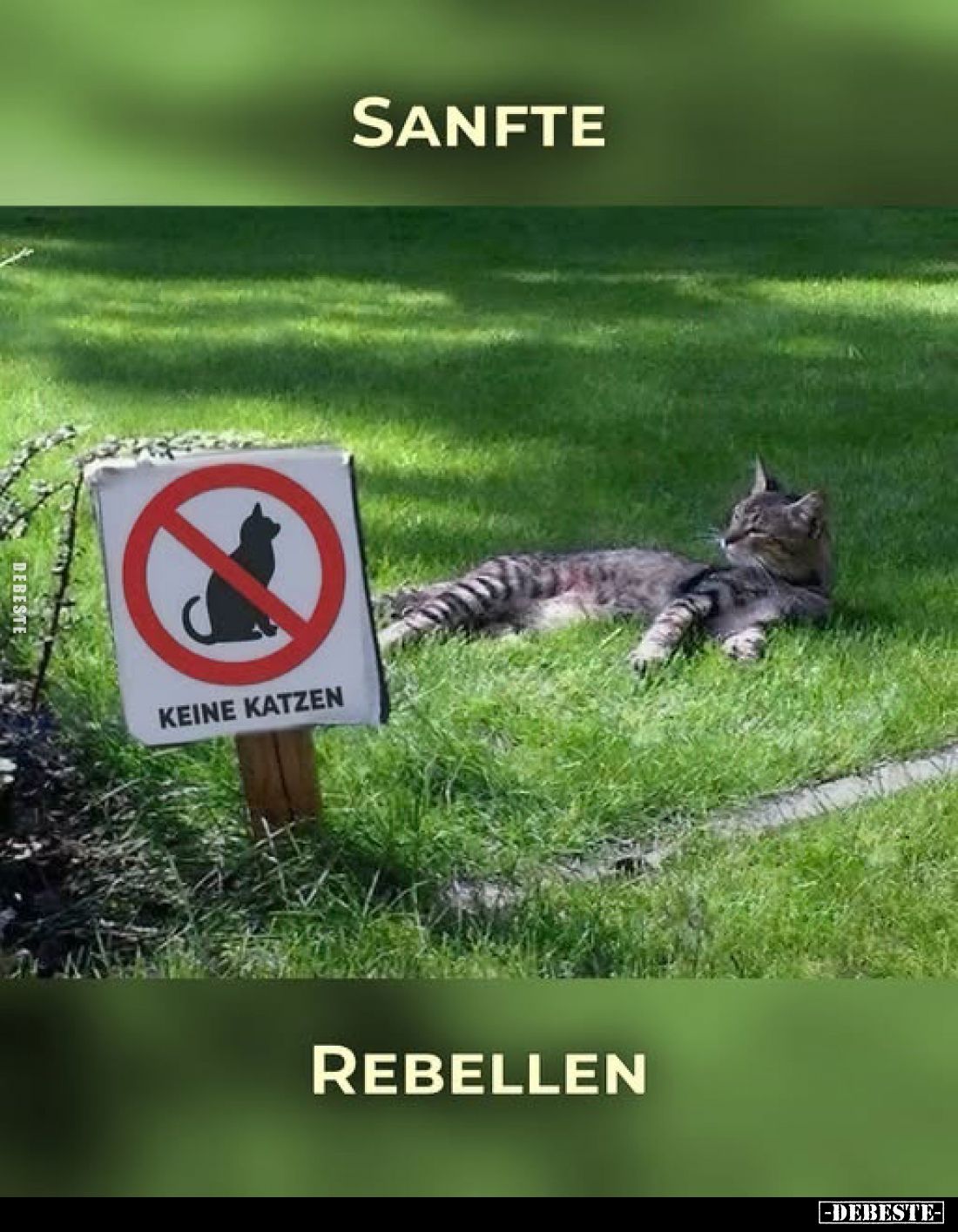 Sanfte
Rebellen.