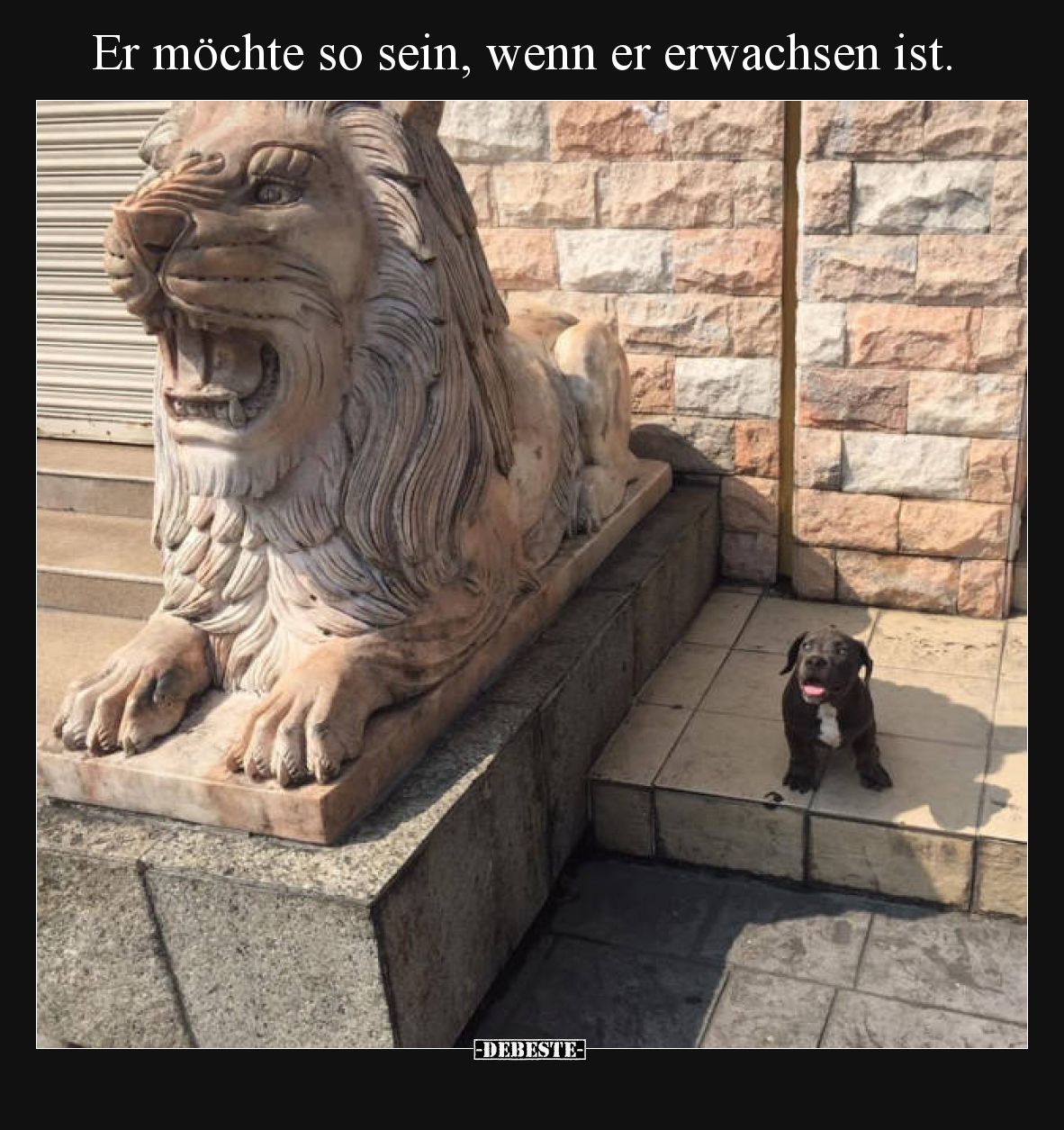 Er möchte so sein, wenn er erwachsen ist.