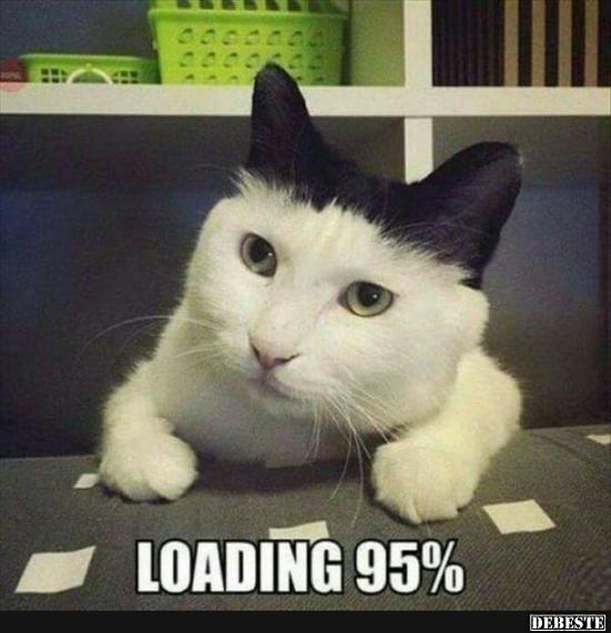 Loading 95%..