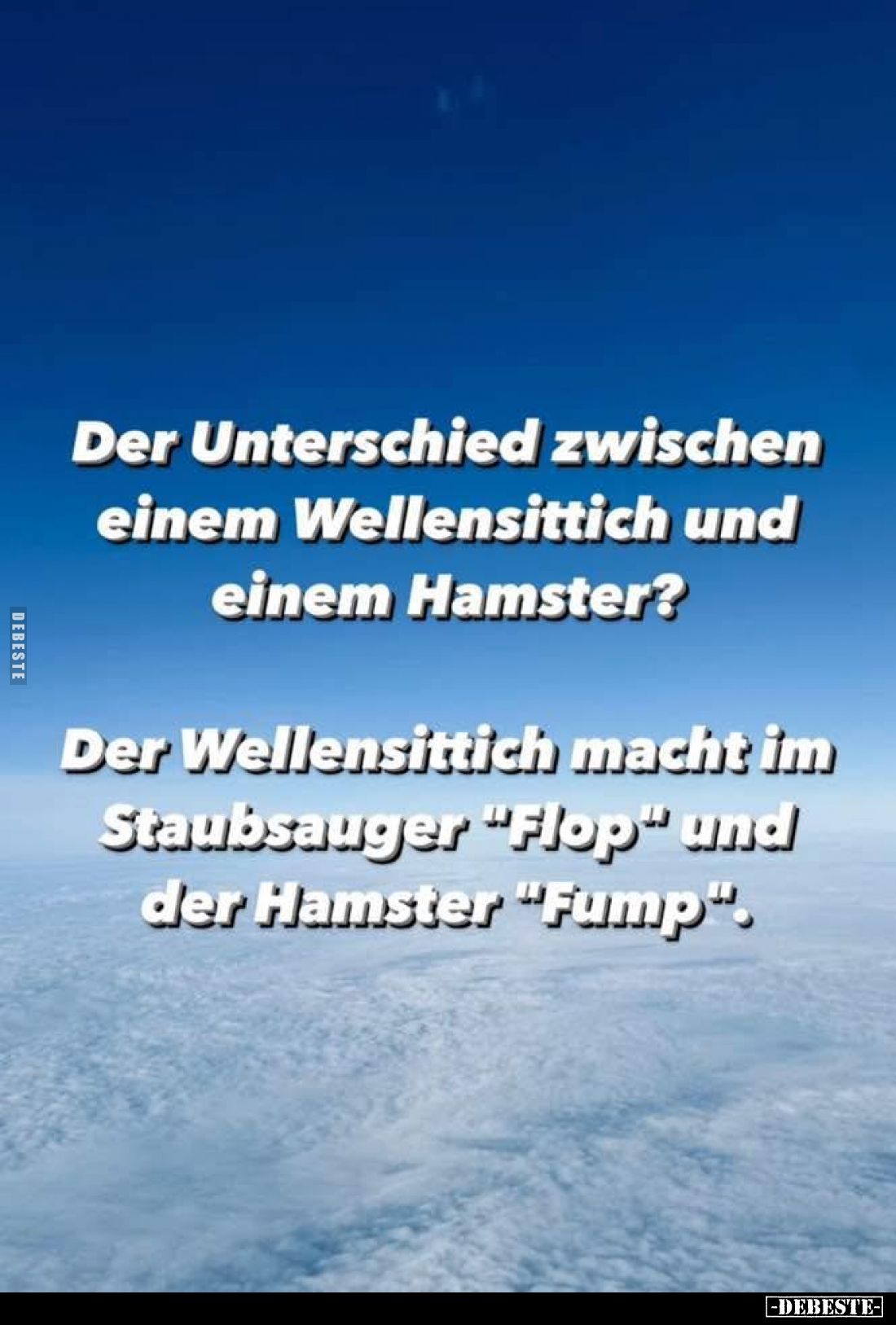 Der Unterschied zwischen einem Wellensittich und einem Hamster?
Der Wellensittich macht im Staubsauger "Flop" und ...