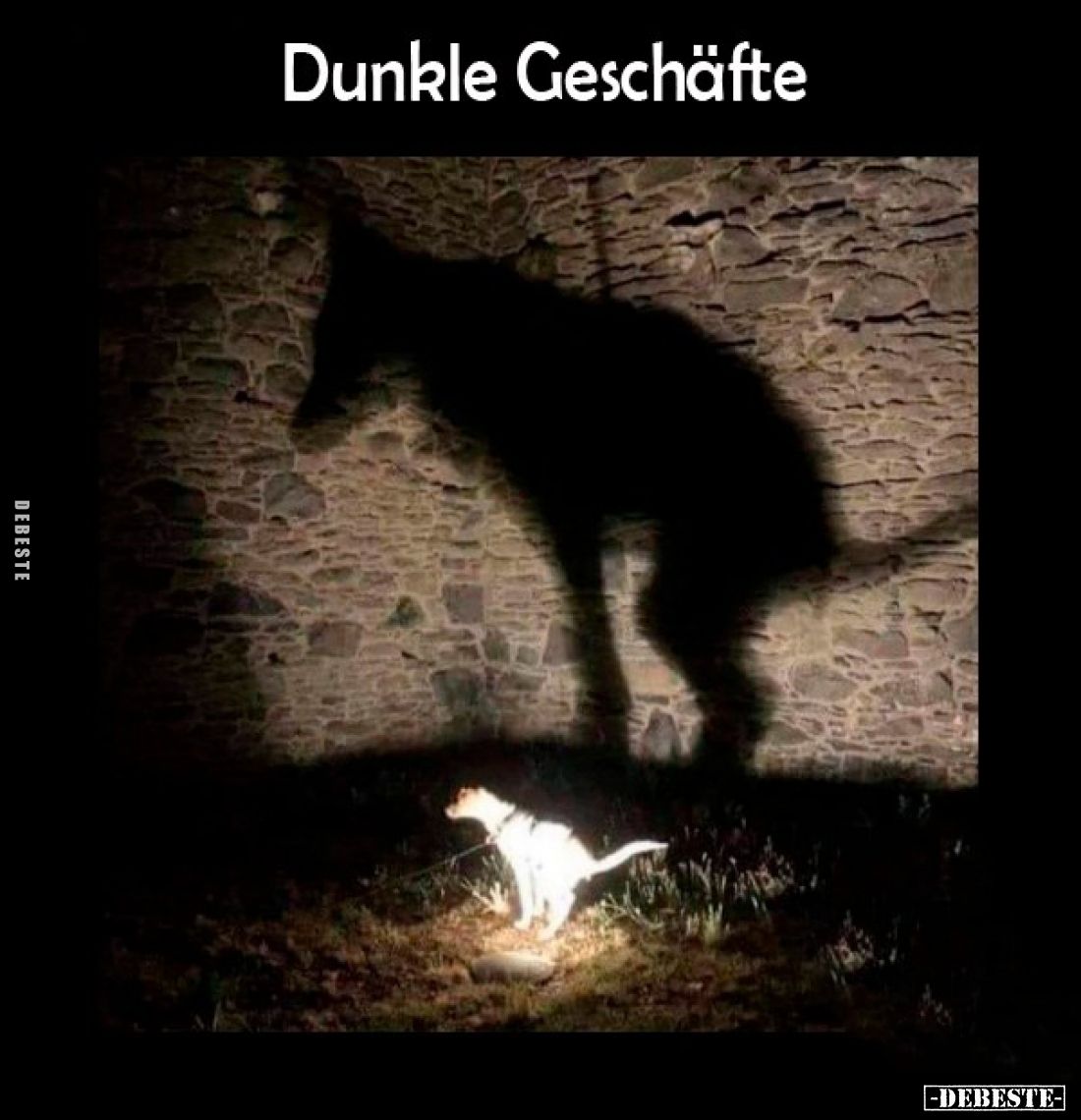 Dunkle Geschäfte.