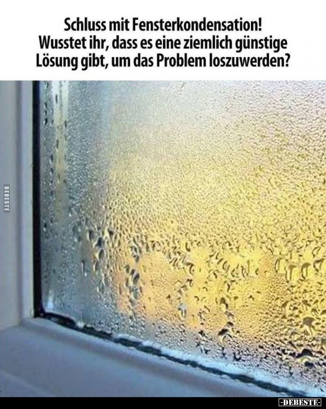 Schluss mit Fensterkondensation!
Wusstet ihr, dass es eine ziemlich günstige Lösung gibt, um das Problem loszuwerden?