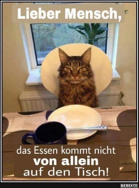 Lieber Mensch, das Essen kommt nicht.. - Lustige Bilder | DEBESTE.de