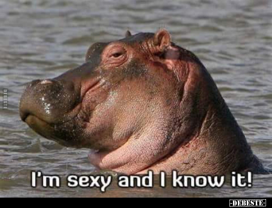  - Lustige Bilder | DEBESTE.de