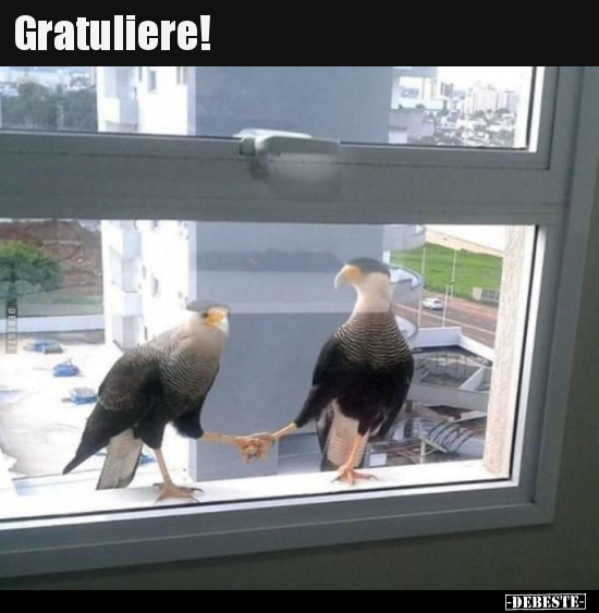 Gratuliere!..