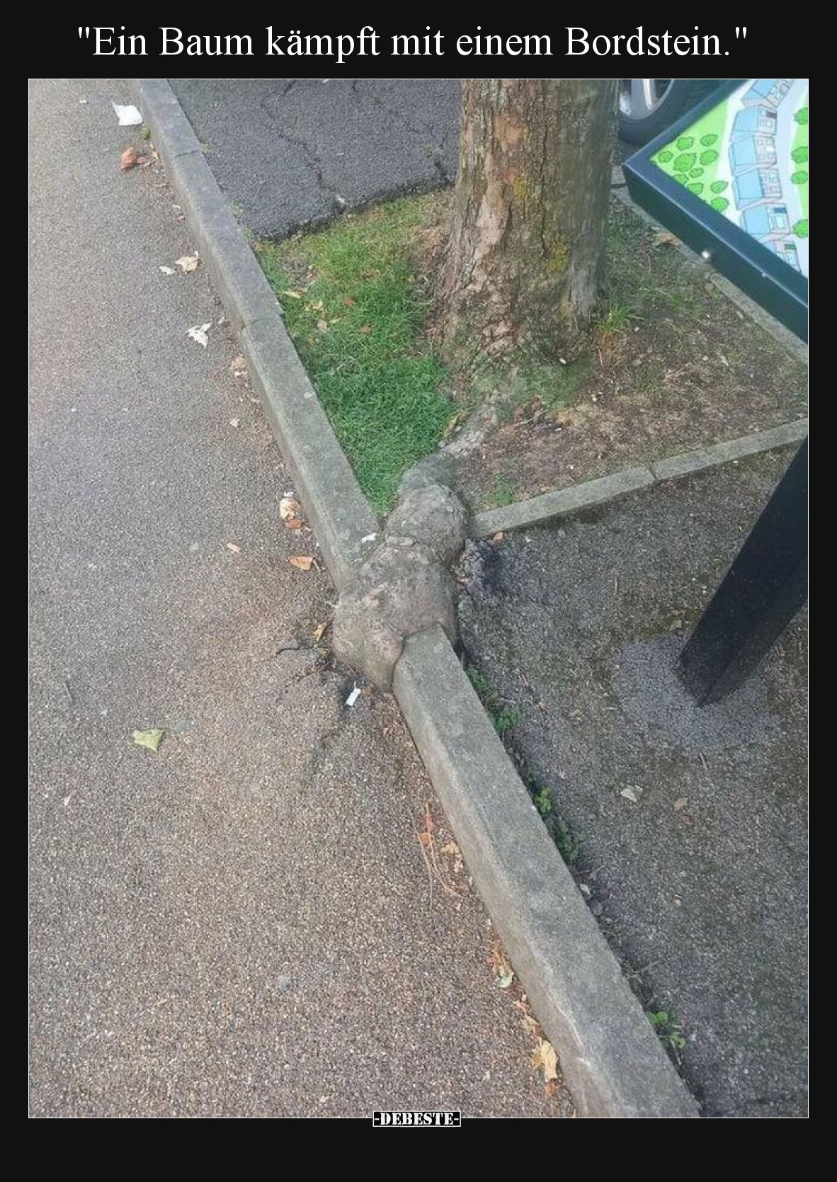 "Ein Baum kämpft mit einem Bordstein.".. - Lustige Bilder | DEBESTE.de