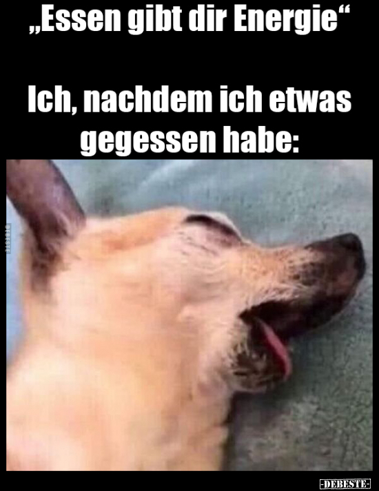 "Essen gibt dir Energie"..