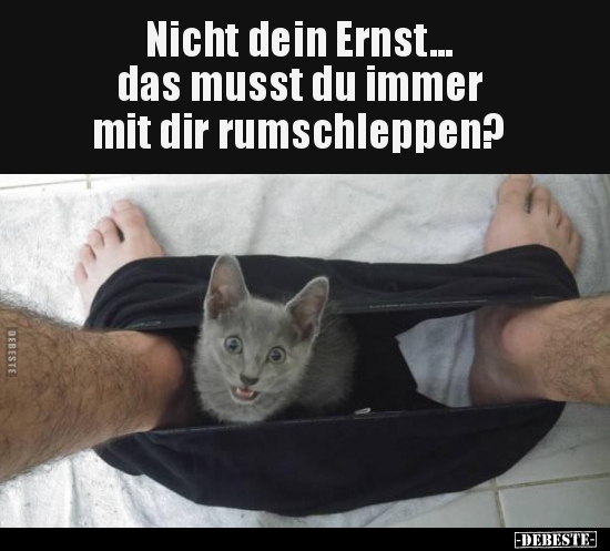 Nicht dein Ernst... das musst du immer mit dir.. - Lustige Bilder | DEBESTE.de