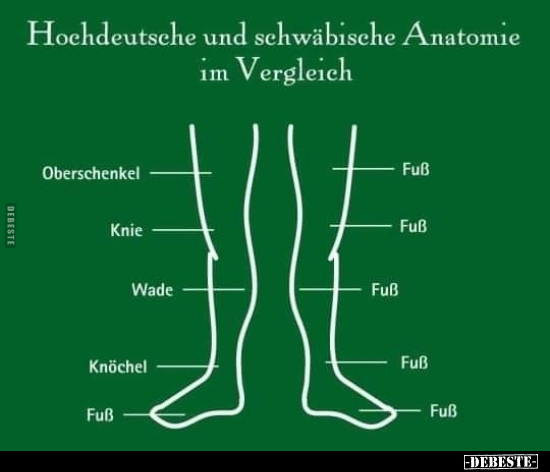 Hochdeutsche und schwäbische Anatomie im Vergleich.. - Lustige Bilder | DEBESTE.de