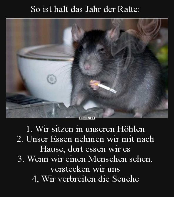 So ist halt das Jahr der Ratte: 1. Wir sitzen in unseren.. - Lustige Bilder | DEBESTE.de