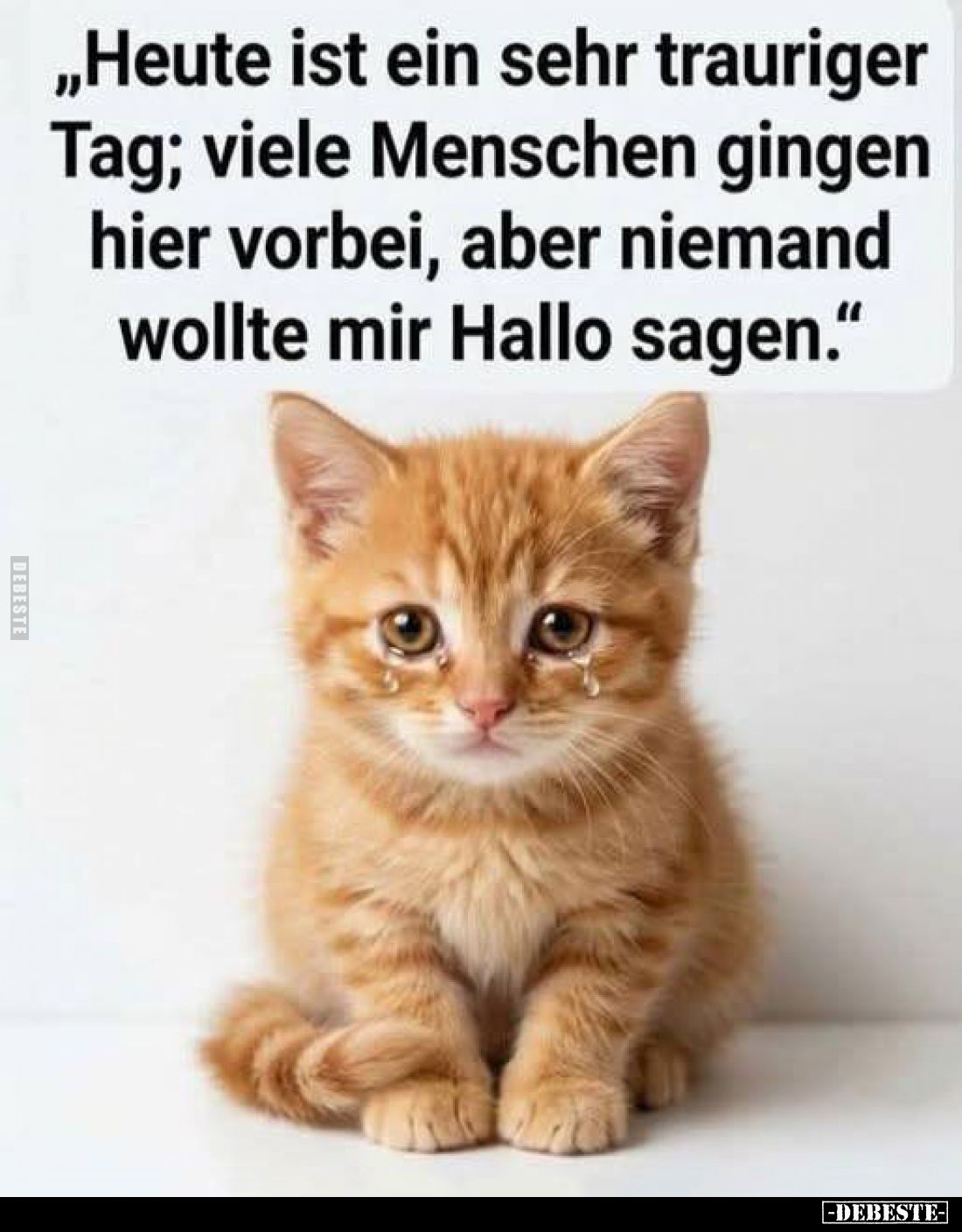 "Heute ist ein sehr trauriger Tag; viele Menschen gingen hier vorbei, aber niemand wollte mir Hallo sagen."
