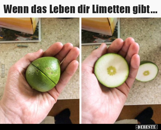 Wenn das Leben dir Limetten gibt… - Lustige Bilder | DEBESTE.de