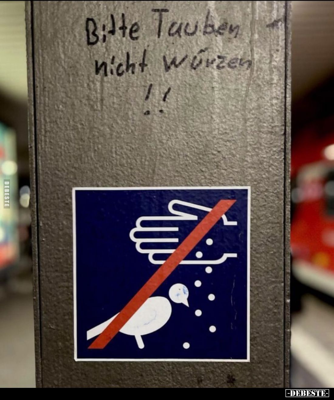 Bitte Tauben nicht würzen !!.. - Lustige Bilder | DEBESTE.de