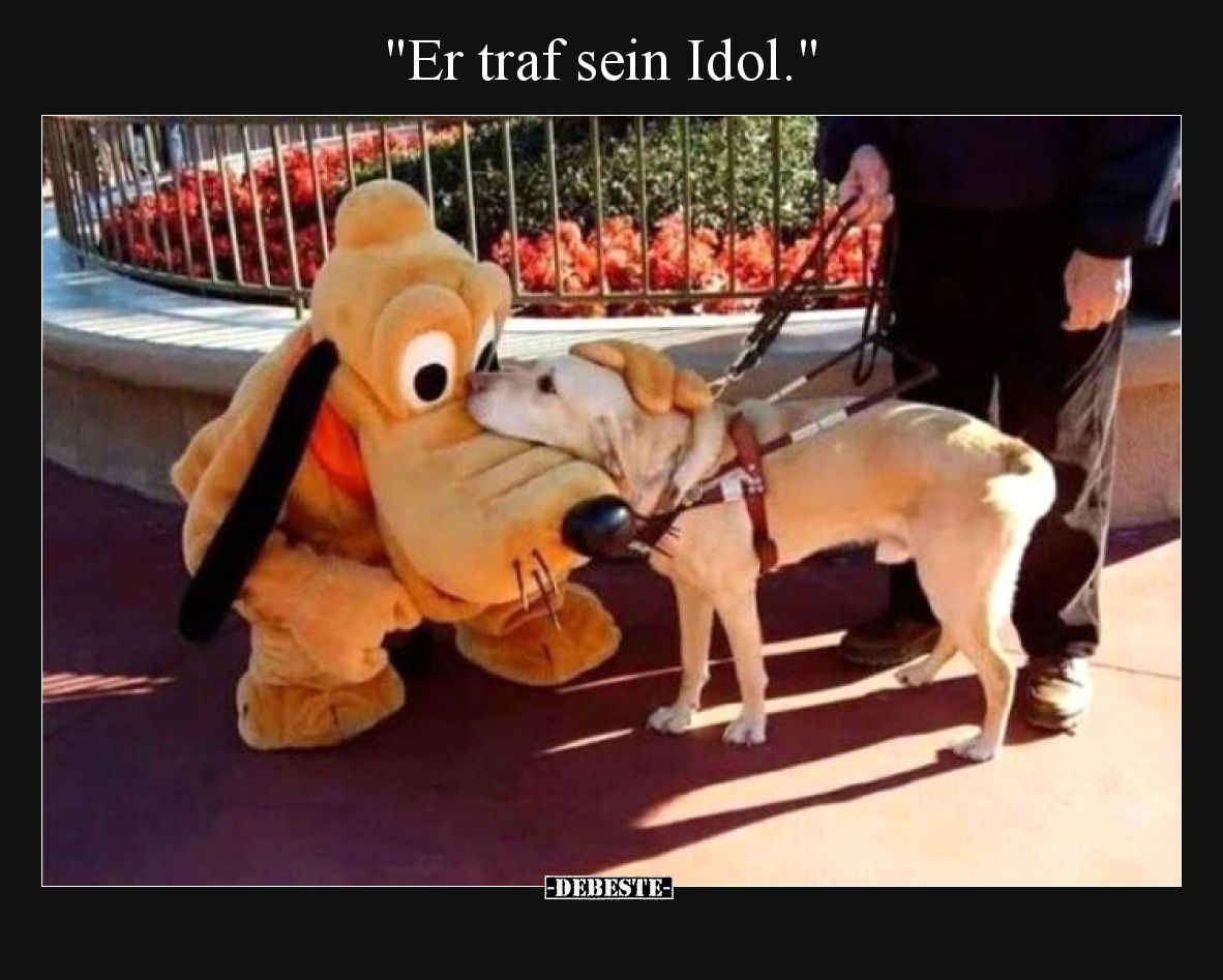"Er traf sein Idol.".. - Lustige Bilder | DEBESTE.de