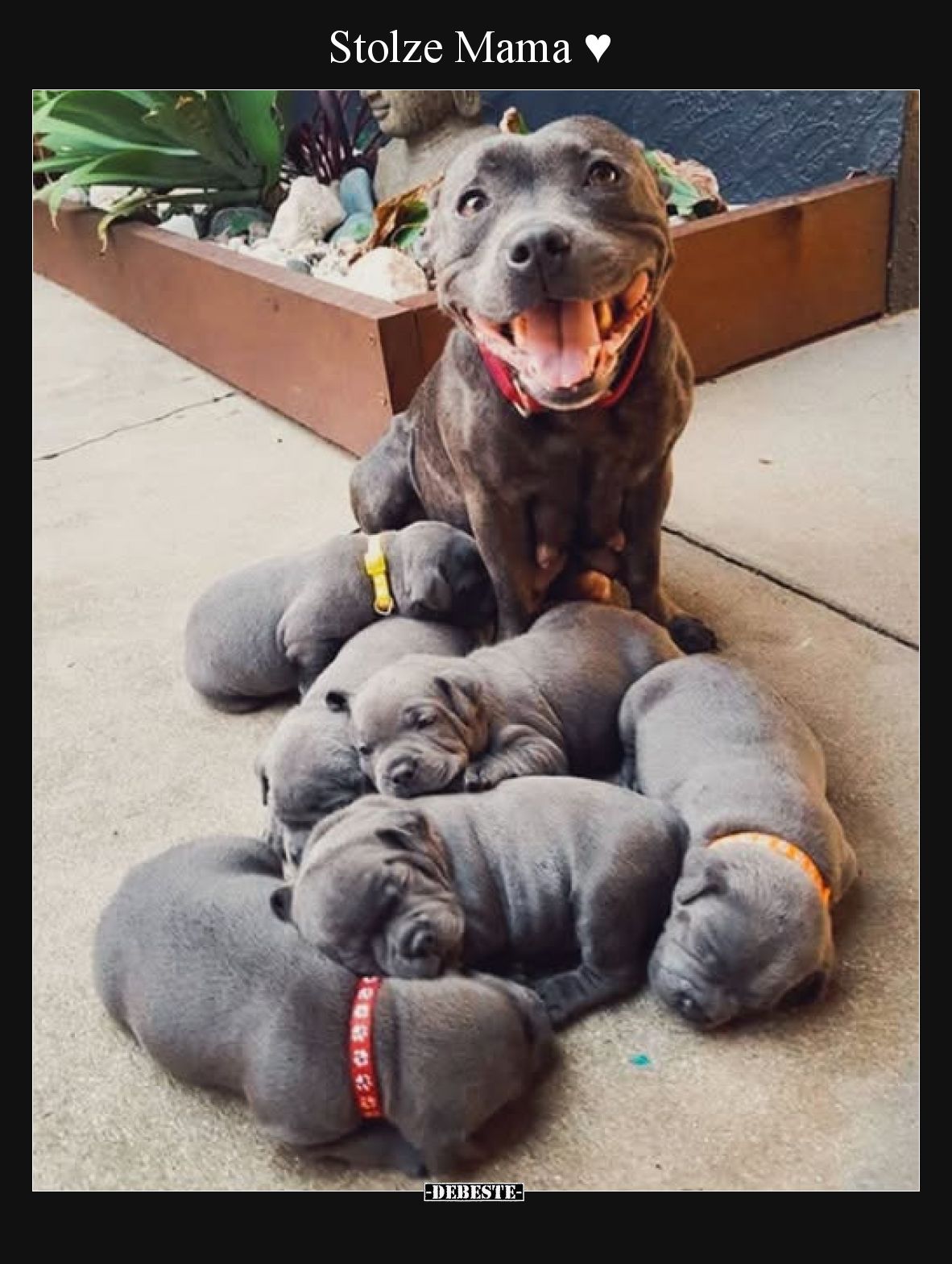 Stolze Mama ♥