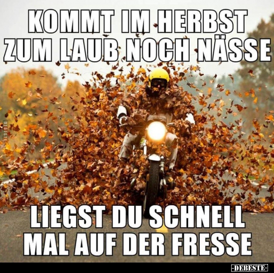 Kommt im Herbst zum Laub noch NässeLiehst du schnell mal.. - Lustige Bilder | DEBESTE.de