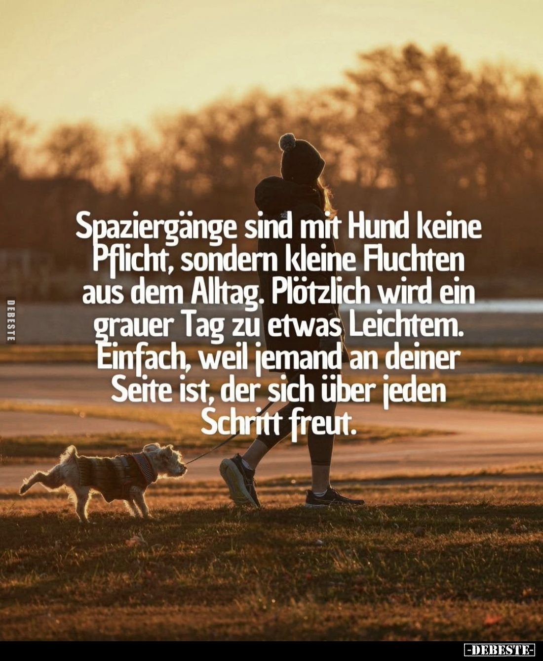 Spaziergänge sind mit Hund keine Pflicht... - Lustige Bilder | DEBESTE.de