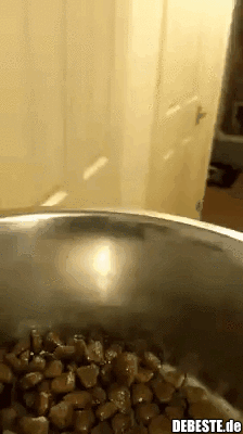 :] - Lustige Bilder | DEBESTE.de