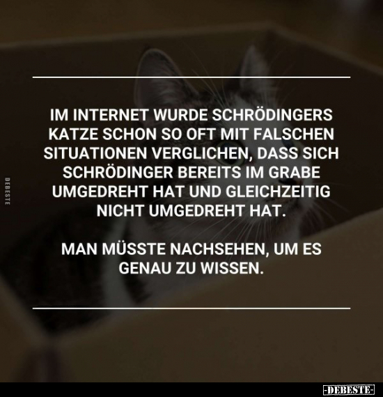 Im Internet wurde Schrödingers Katze schon so oft mit.. - Lustige Bilder | DEBESTE.de