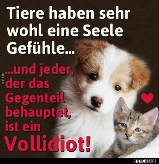 Tiere haben sehr wohl eine Seele Gefühle.. - Lustige Bilder | DEBESTE.de