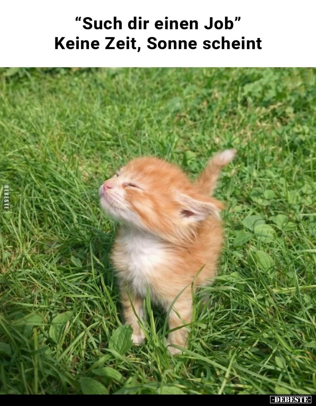 "Such dir einen Job".. - Lustige Bilder | DEBESTE.de