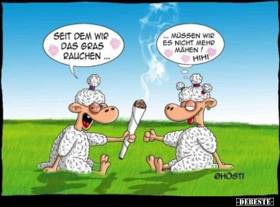 Seit dem wir das Gras rauchen... - Lustige Bilder | DEBESTE.de