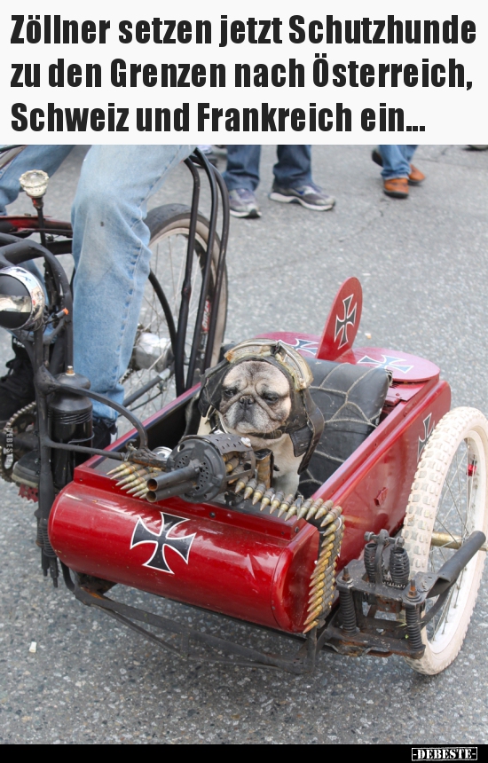 Zöllner setzen jetzt Schutzhunde zu den Grenzen nach..