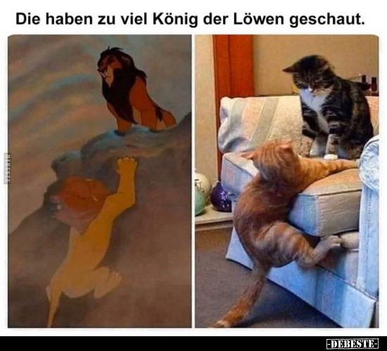 Die haben zu viel König der Löwen geschaut... - Lustige Bilder | DEBESTE.de