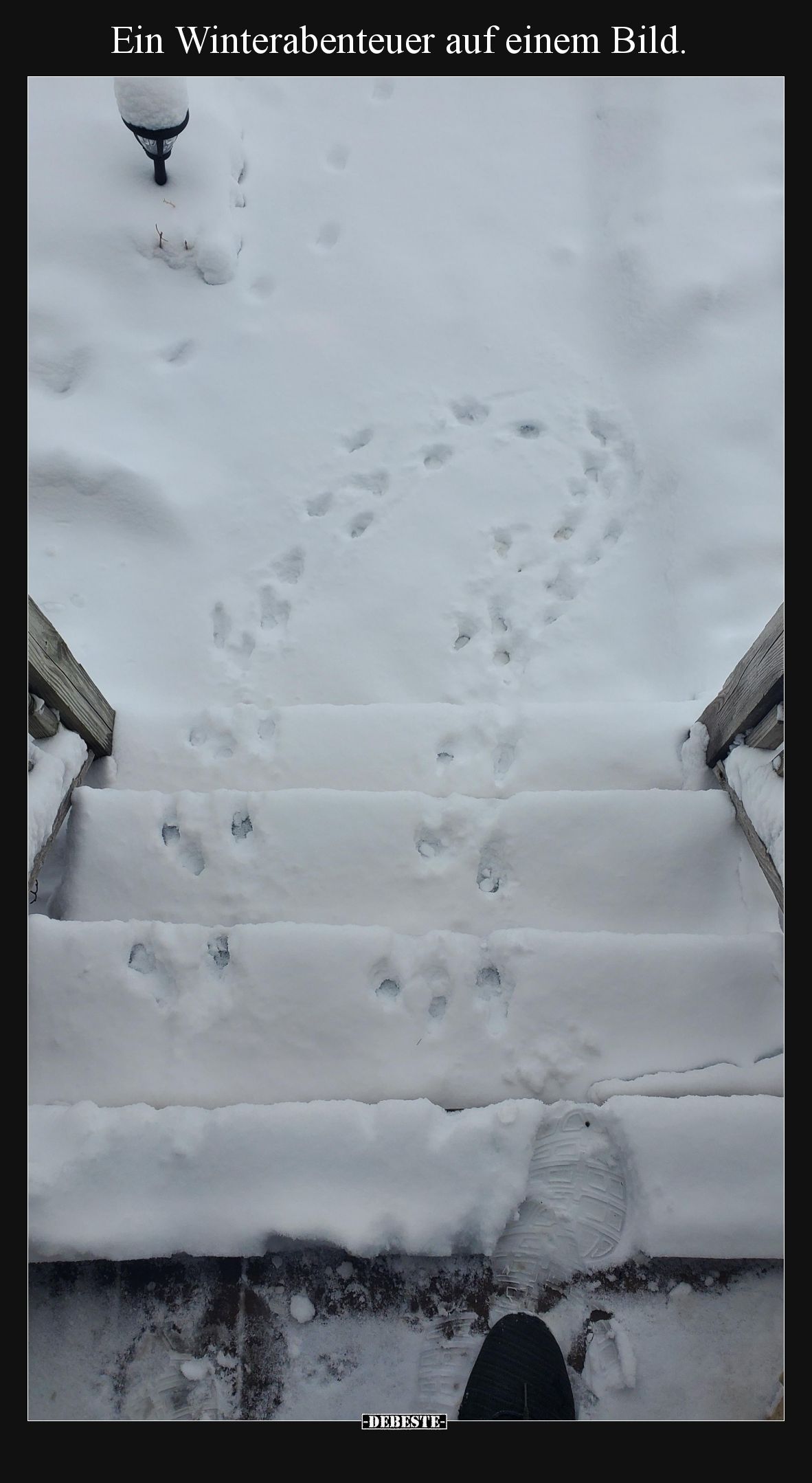 Ein Winterabenteuer auf einem Bild... - Lustige Bilder | DEBESTE.de