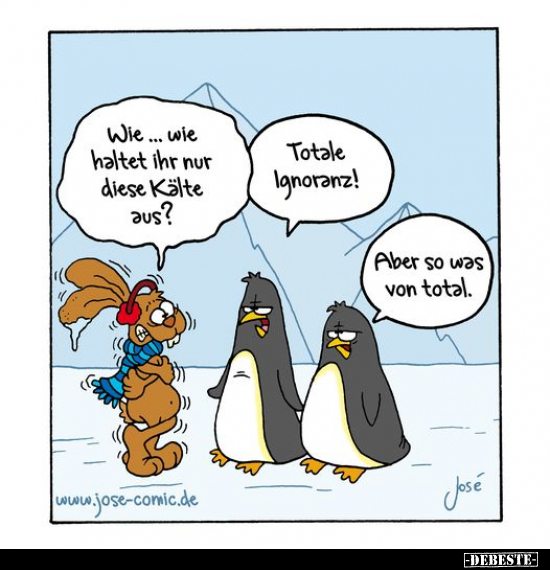 Wie... wie haltet ihr nur diese Kälte aus?.. - Lustige Bilder | DEBESTE.de