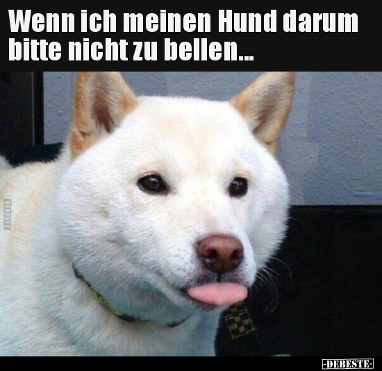 Wenn ich meinen Hund darum bitte nicht zu bellen...