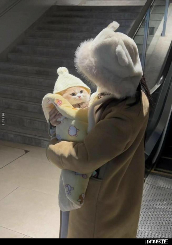  - Lustige Bilder | DEBESTE.de