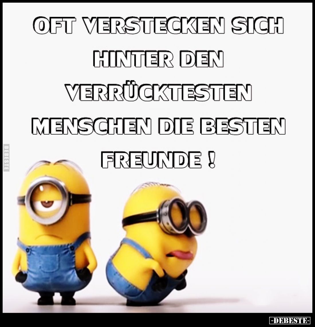 Oft verstecken sich hinter den verrücktesten Menschen die besten Freunde!