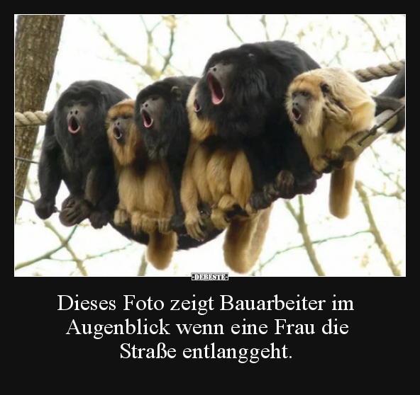 Dieses Foto zeigt Bauarbeiter im Augenblick wenn eine.. - Lustige Bilder | DEBESTE.de