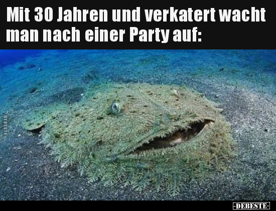 Mit 30 Jahren und verkatert wacht man nach einer Party.. - Lustige Bilder | DEBESTE.de