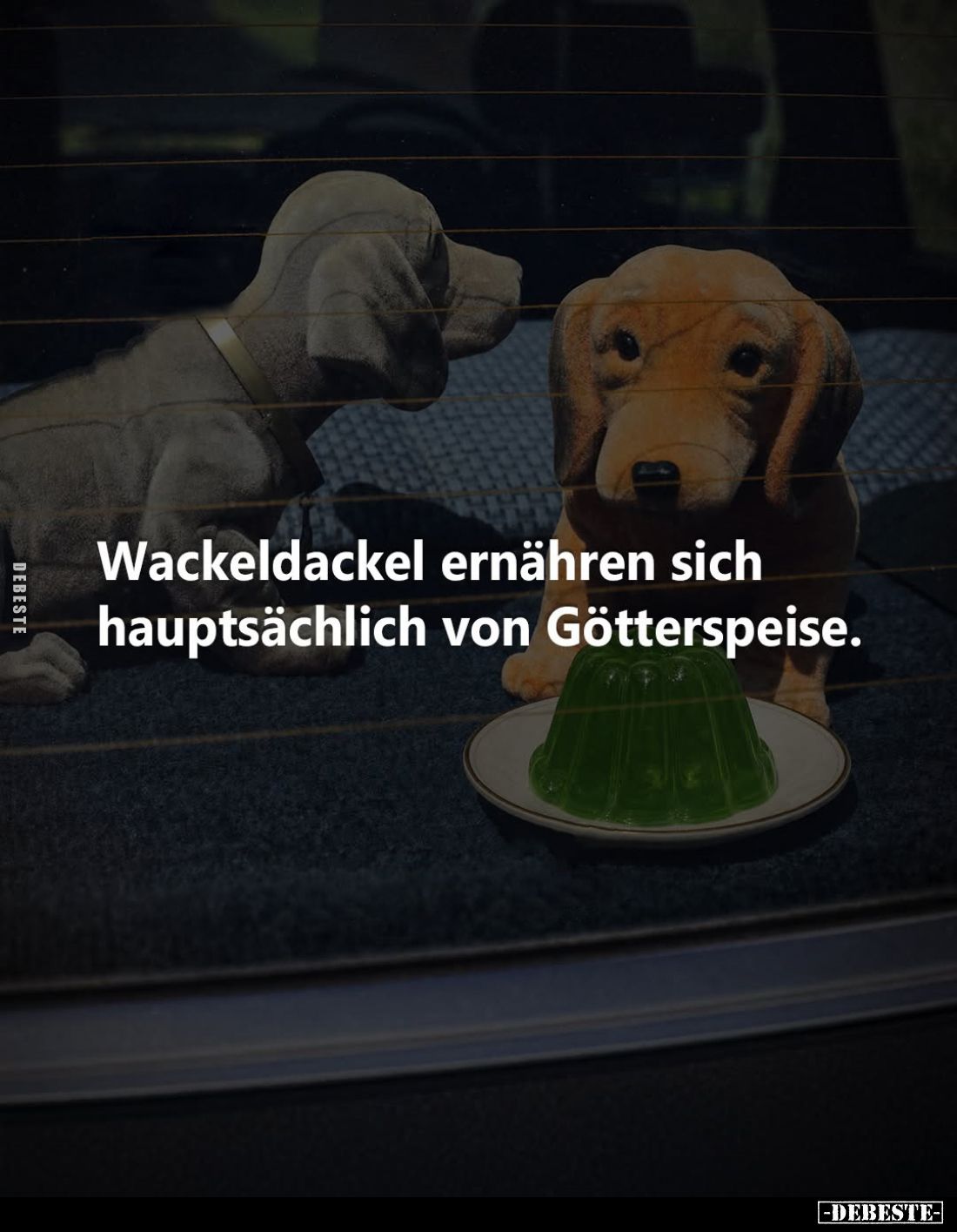 Wackeldackel ernähren sich hauptsächlich von Götterspeise.