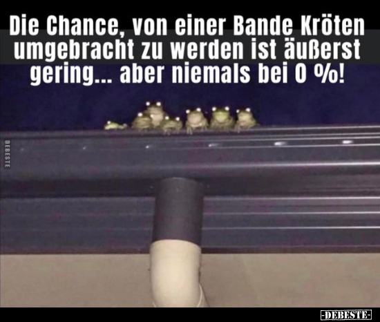 Die Chance, von einer Bande Kröten umgebracht zu werden ist.. - Lustige Bilder | DEBESTE.de