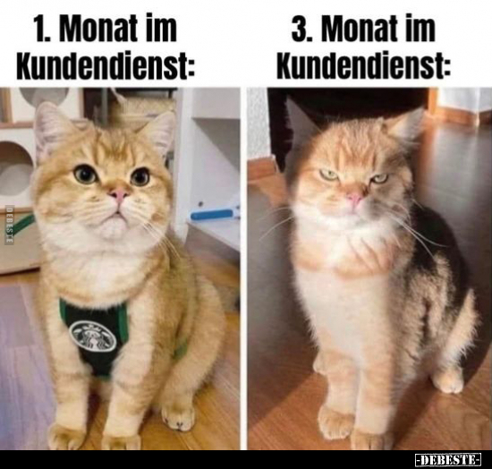 1. Monat im Kundendienst:

3. Monat Kundendienst: