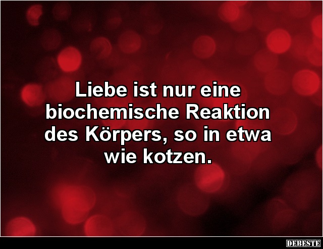 Liebe ist nur eine biochemische Reaktion des Körpers.. - Lustige Bilder | DEBESTE.de