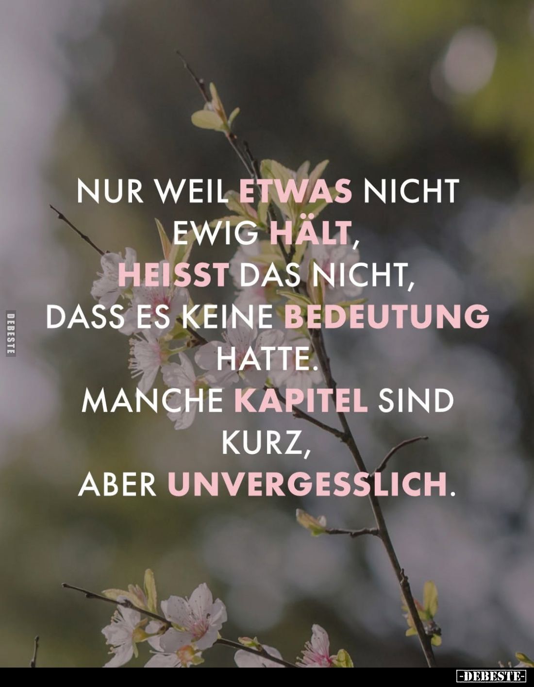 Nur weil etwas nicht ewig hält, heisst das nicht, dass es keine Bedeutung hatte.
Manche Kapitel sind kurz, aber unvergesslic...