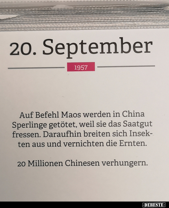 Auf Befehl Maos werden in China Sperlinge getötet.. - Lustige Bilder | DEBESTE.de
