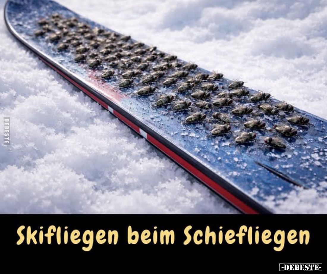 Skifliegen beim Schiefliegen