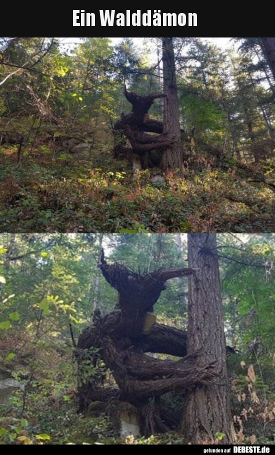 Ein Walddämon..