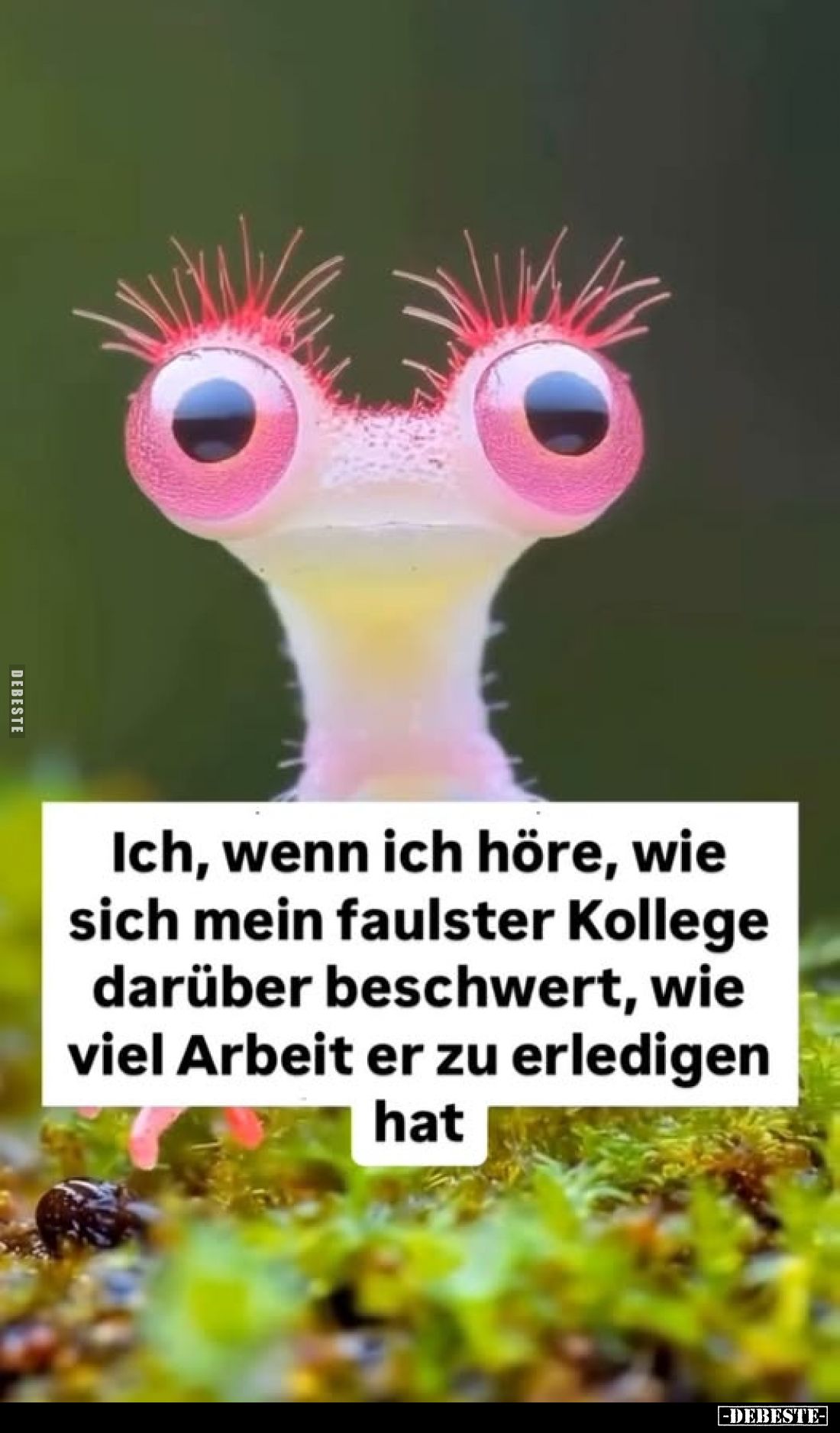 Ich, wenn ich höre, wie sich mein faulster Kollege darüber beschwert, wie viel Arbeit er zu erledigen hat