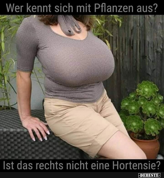 Wer kennt sich mit Pflanzen aus? - Lustige Bilder | DEBESTE.de