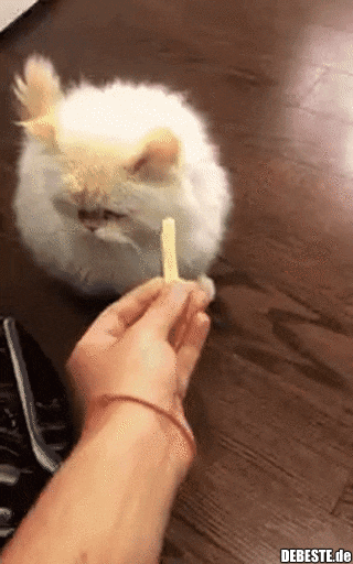 Was ist das für ein Mist... geh weg damit..